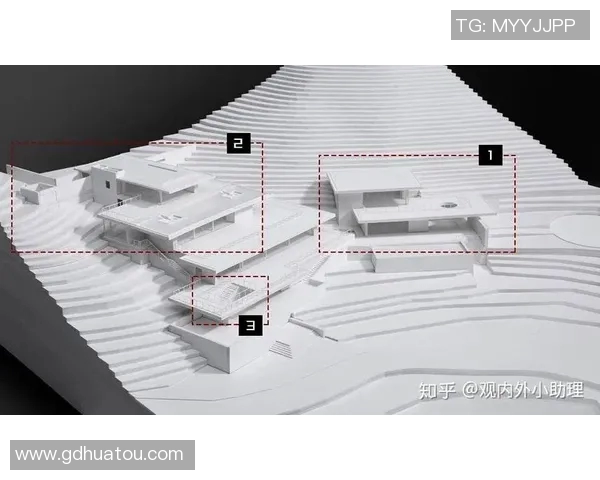 vs与am的模糊区别探讨及其在不同语境中的应用分析