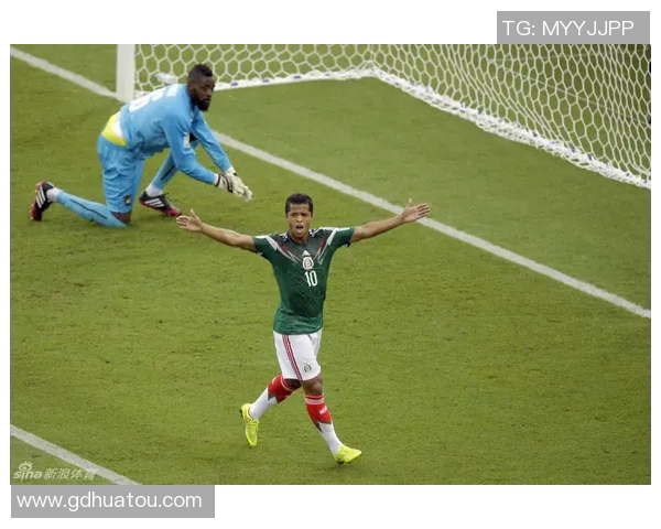 喀麦隆与尼日利亚激战结果揭晓双方表现引发热议